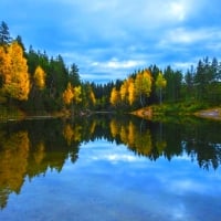 Autumn Mirror