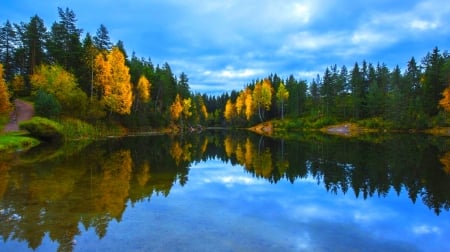 Autumn Mirror - lake, trees, water, road, norway, forest, yellow, reflection, blue, beautiful, green