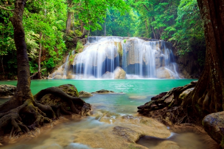 Beautiful forest waterfall - trees, forest, beautiful, greenery, waterfall, rocks