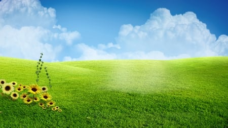 Beautiful Grass - flowers, nature, clouds, grass