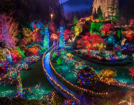 Garden Of Light - path, plants, lights, garden