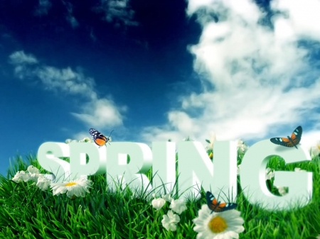 SPRING - sky, spring, nature, grass