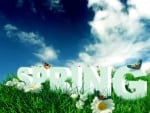 SPRING