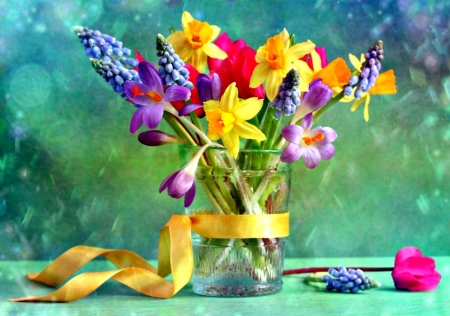 spring flowers - flowers, photography, spring, still life