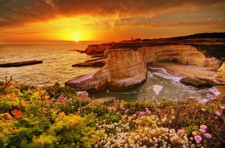 Coastal sunset - ocean, beach, sky, sun, shore, sunset, rocks, coast, glow, view, beautiful, flowers, sea, wildflowers