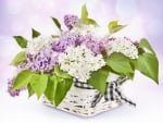 basket of lilacs