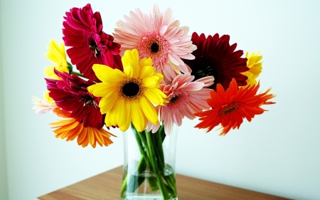 Still Life - colors, flowers, still life, vase