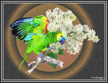 PARROT WITH LILACS - creation, parrot, lilacs, art