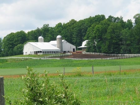 Amish Farm - nature, farms, photography, amish