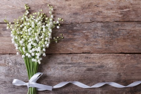 Happy Spring! - wood, spring, flower, white, green, ribbon, mother, bow, day