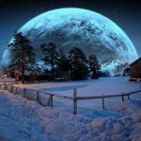 Winter Moon