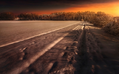 Sunset At Winter - winter, trees, sunset, snow