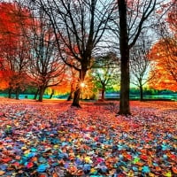 ENCHANTING AUTUMN NATURE