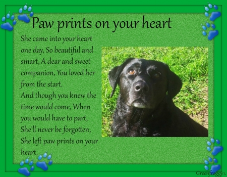 FOR DEAR SUE...''3WAGGINTAILS'' - COMPANION, DOG, FRIEND, PET