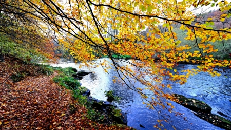 Autumn River - river, mountain, sky, autumn