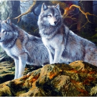 Pair of Wolves