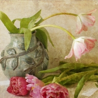 vintage still life