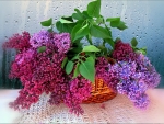 basket of lilacs