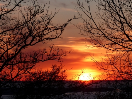 Sunset - trees, sunset, nature, spring, colors, sky