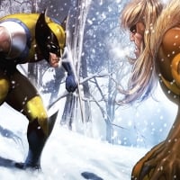 Wolverine VS Sabertooth