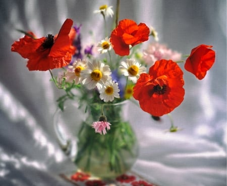 Still Life - flowers, vase, red, still life