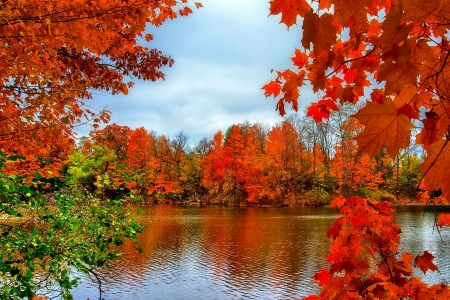 AUTUMN - branches, trees, landscape, falls, water, nature, reflection, river, splendor, leaves