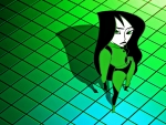 Shego Overview