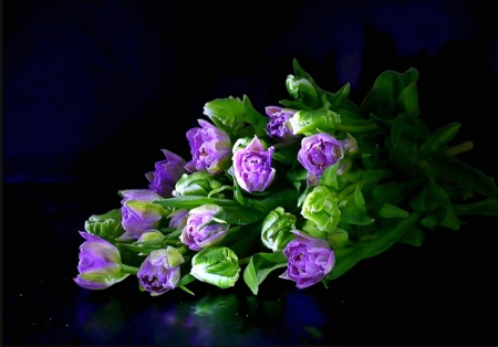 For him - flowers, tulips, purple, green