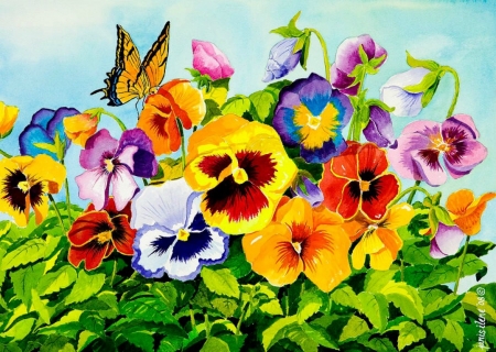 Pansies