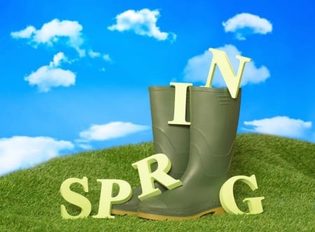 Spring boots - skies, boots, cloud, spring, grass