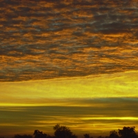 Arizona Sunset