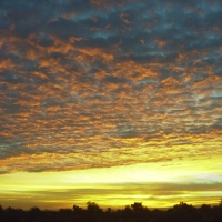 Arizona Sunset