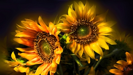 Flowers of the Sun - bright, sunflowers, fall, autumn, summer, flowers