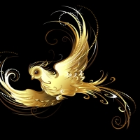 Golden Dove