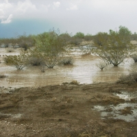 Monsoon flooding