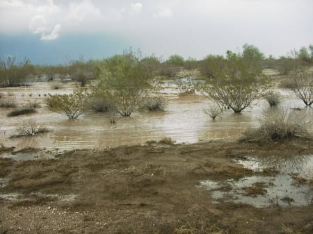 Monsoon flooding - storm, monsoon, arizona, desert, flood