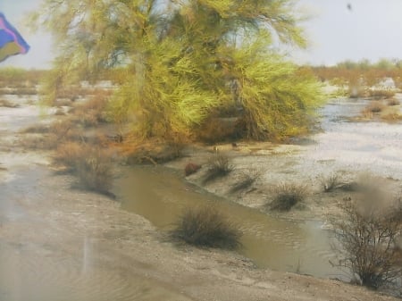 Monsoon flooding - storm, monsoon, arizona, desert, flood