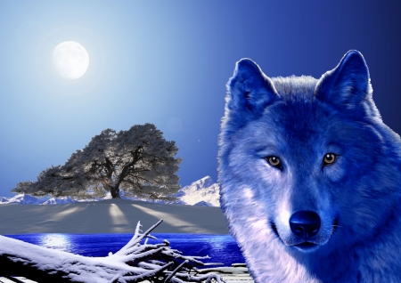 Blue Wolf Winter - moon, winter, wolf, snow, tree, dogs, lake, mountains, animals