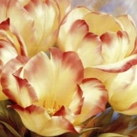 Painted Tulips