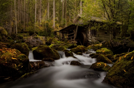 Forgotten  Mill - nature, mill, waterfall, woods