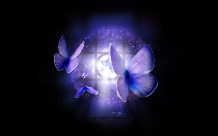 Blue Dream - dark, lights, blue, butterflies