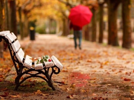 Good Bye - goodbye, lady, autumn, photography, bench, model