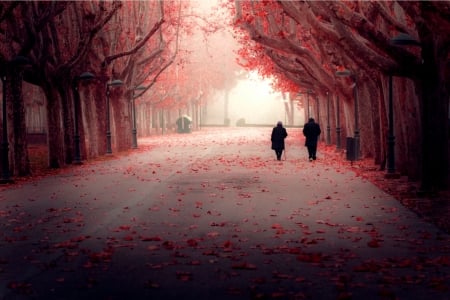 To a better World - path, trees, abstract, autumn