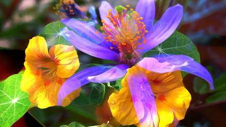 Lovely Flowers - leaves, nature, colorful, flowers