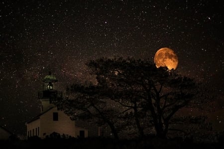 'Full moon rising.....' - moon, night, stars, sky