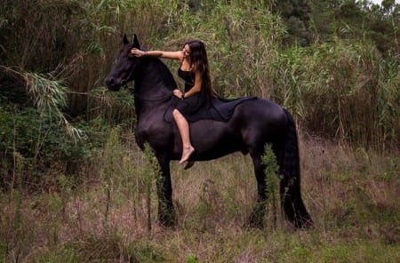 friends - mood, girl, friends, horse