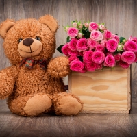 teddy bear and pink roses