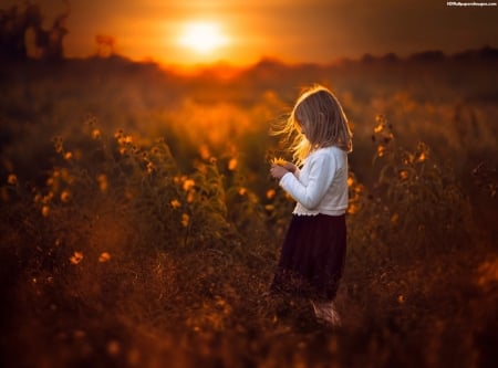 little girl - dainty, pretty, Sunset, pink, pure, child, fair, nice, bonny, Fun, kid, childhood, beauty, baby, Belle, comely, white, nature, cute, people, blonde, red, Sky, DesktopNexus, sightly, beautiful, photography, girl, lovely, sweet, little, adorable, Standing, Fields