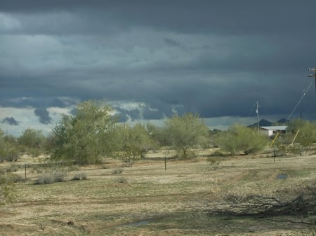 The green after the storm - arizona, desert, clouds, storm