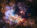 Cluster and Starforming Region Westerlund 2